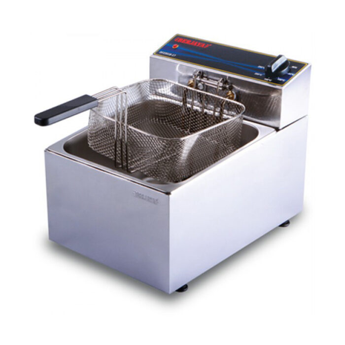 Electric Fryer